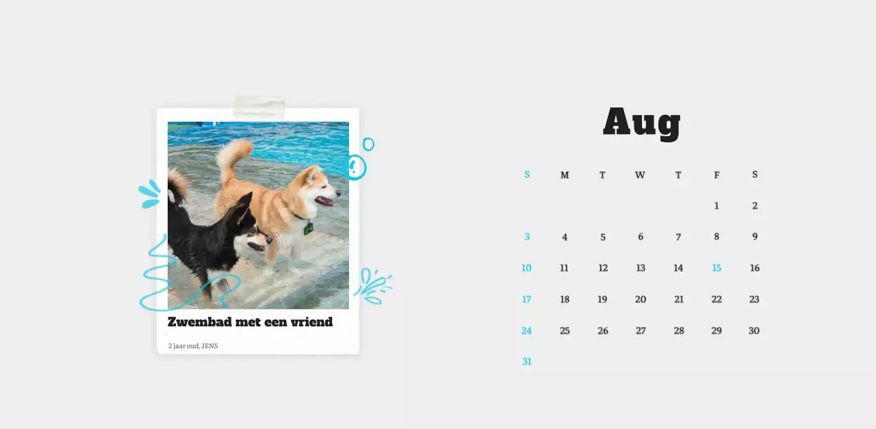 Witte Nette Ballet Dierenfotokalender