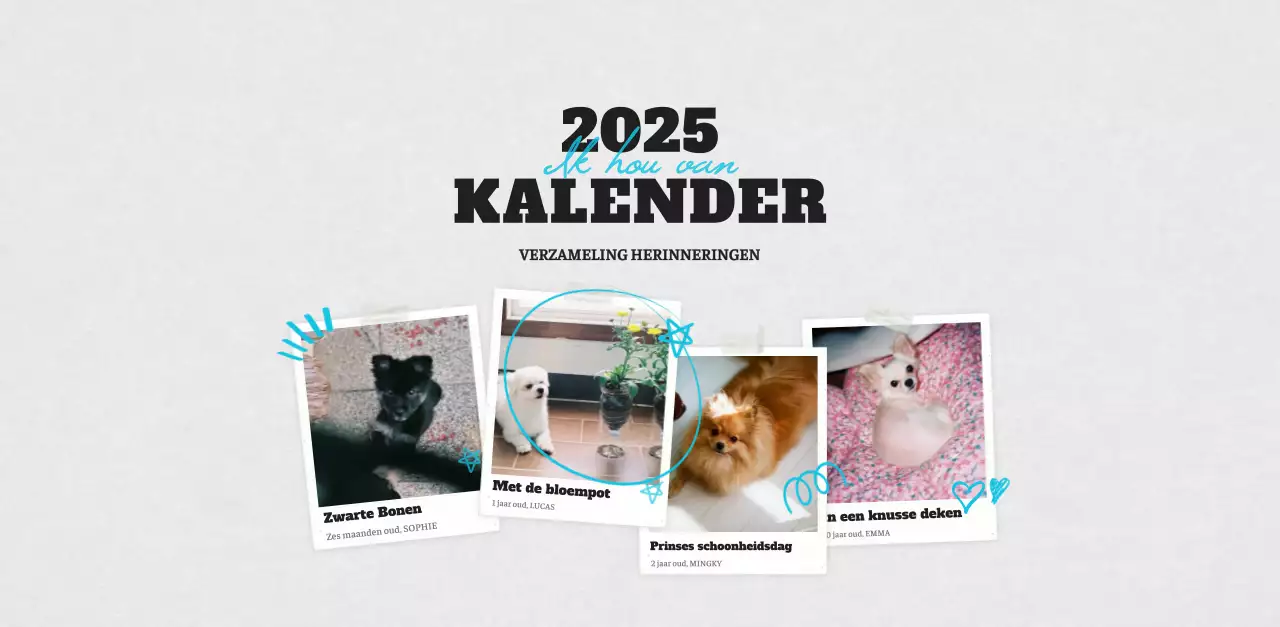 Witte Nette Ballet Dierenfotokalender