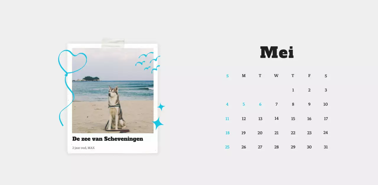Witte Nette Ballet Dierenfotokalender