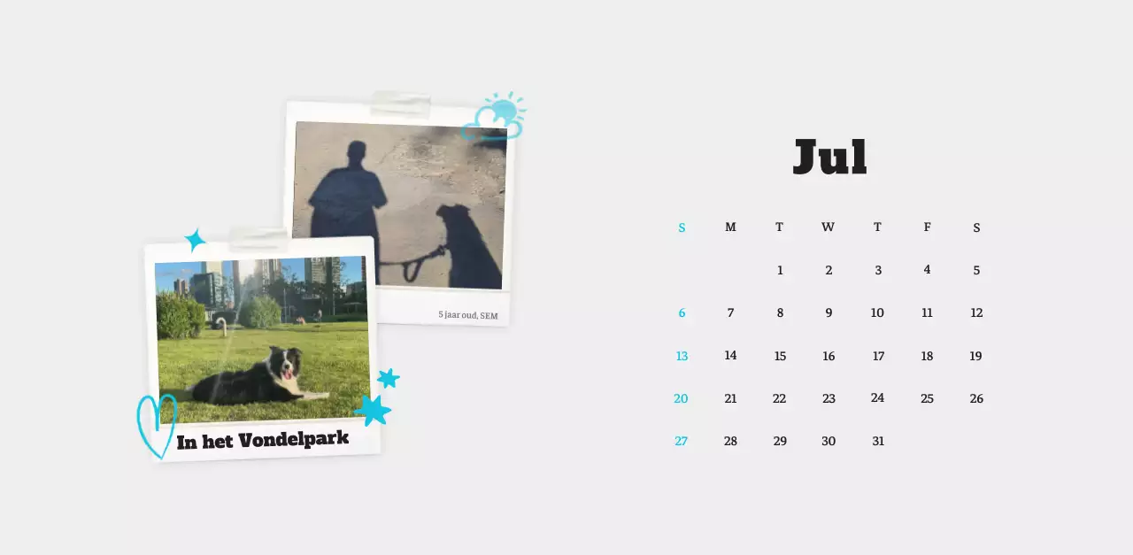 Witte Nette Ballet Dierenfotokalender