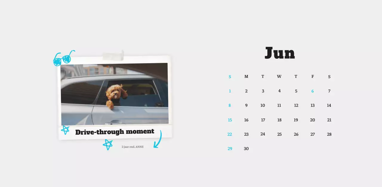 Witte Nette Ballet Dierenfotokalender