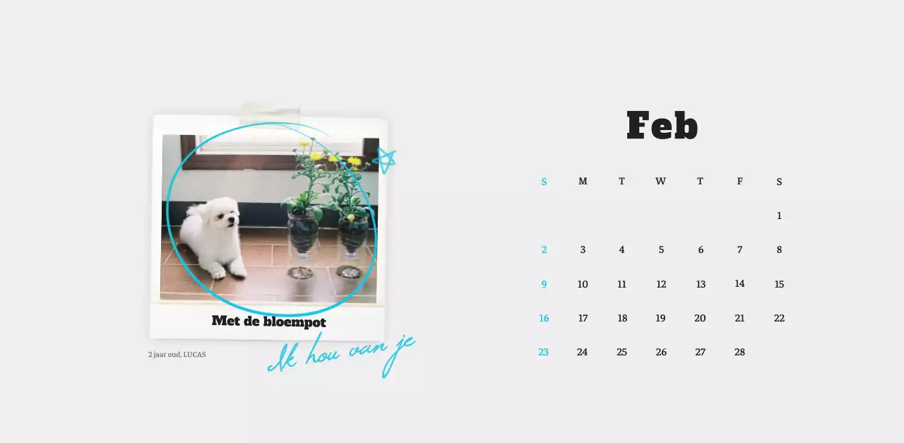 Witte Nette Ballet Dierenfotokalender