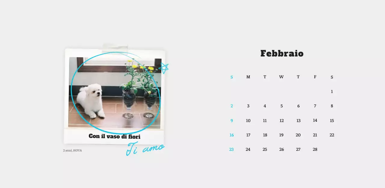 Calendario fotografico degli animali del balletto bianco e ordinato