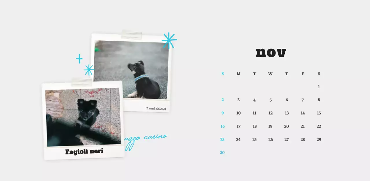 Calendario fotografico degli animali del balletto bianco e ordinato