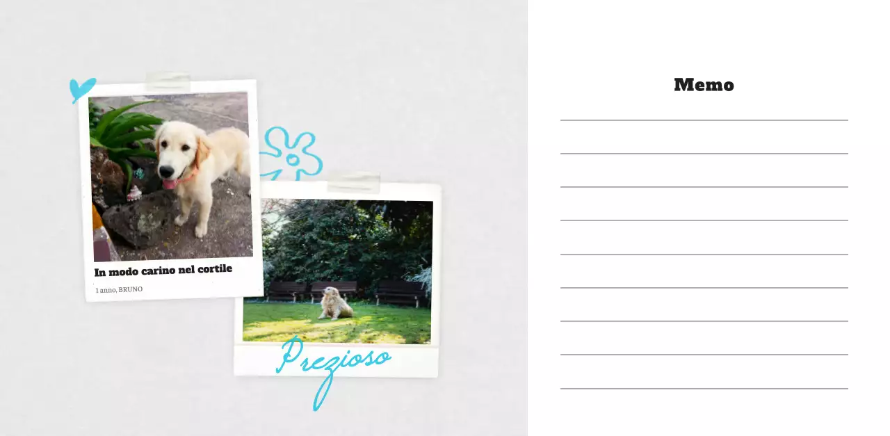 Calendario fotografico degli animali del balletto bianco e ordinato