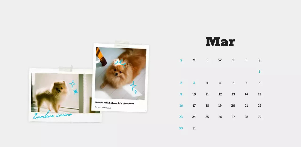 Calendario fotografico degli animali del balletto bianco e ordinato