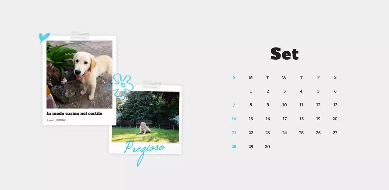 Calendario fotografico degli animali del balletto bianco e ordinato