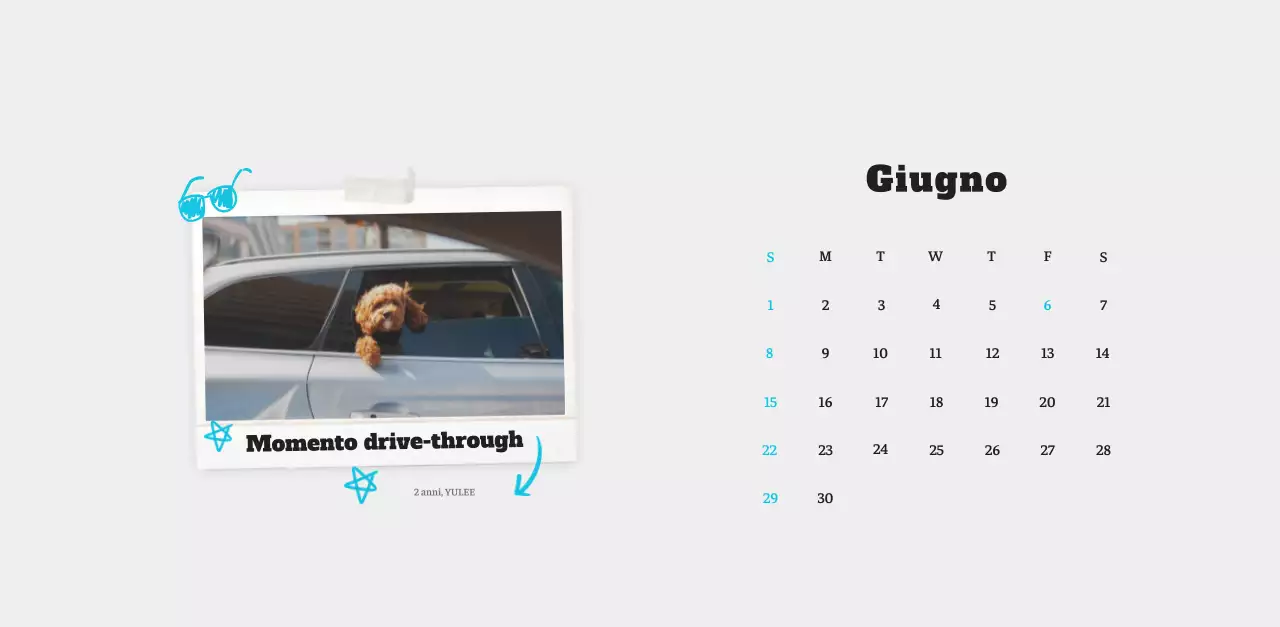 Calendario fotografico degli animali del balletto bianco e ordinato