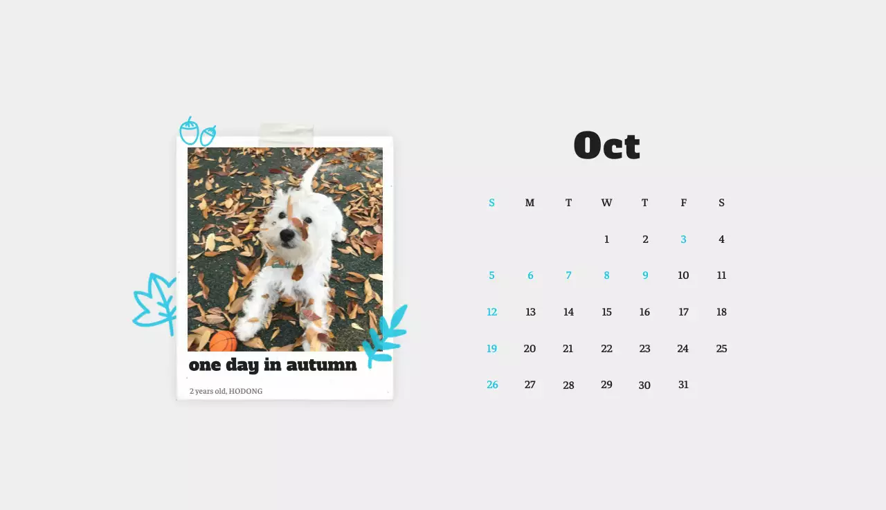 Kalender Foto Binatang Balet Putih Rapi