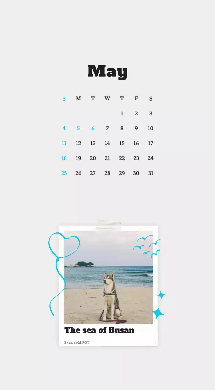 White neat pet photo calendar