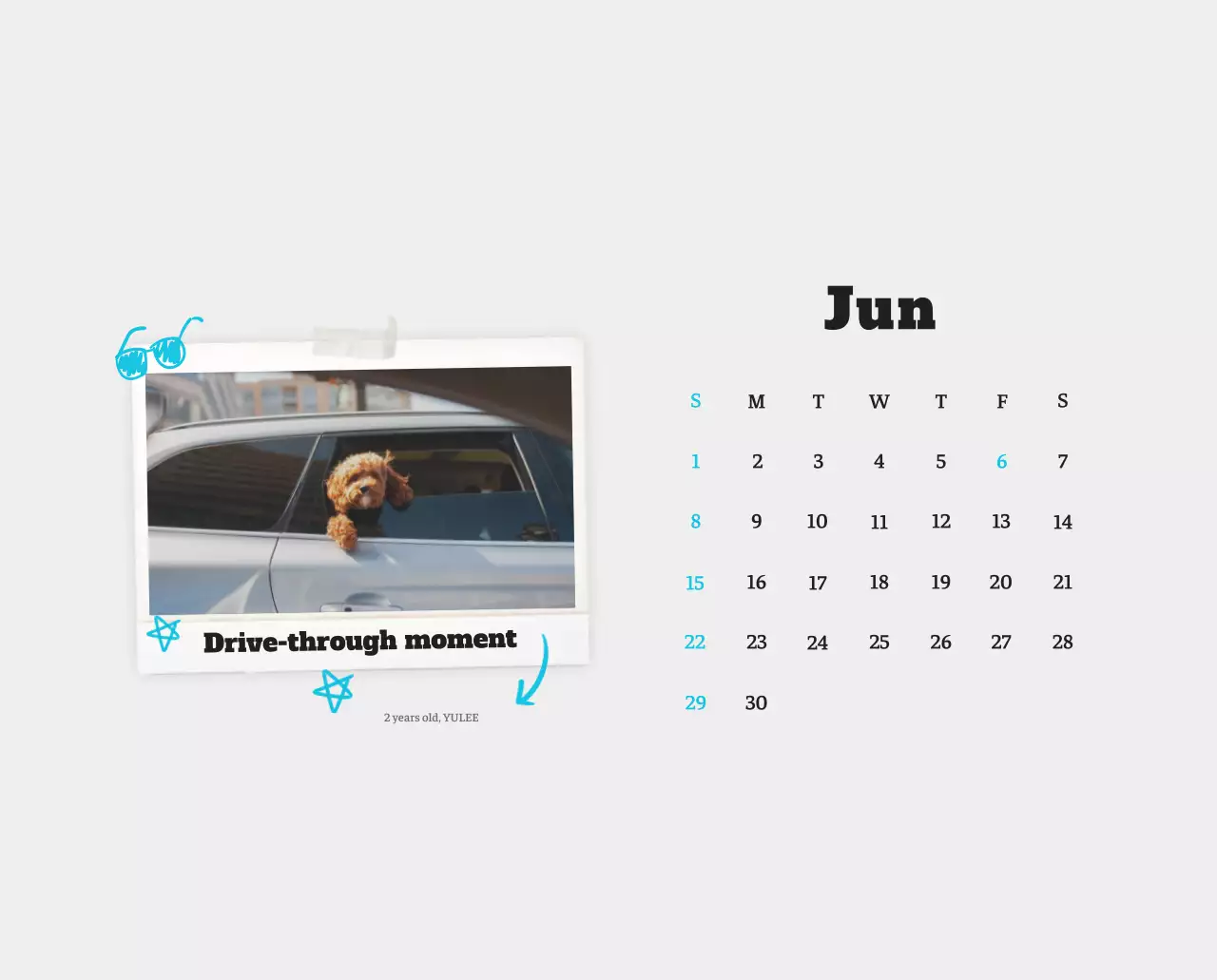 Kalender Foto Binatang Balet Putih Rapi