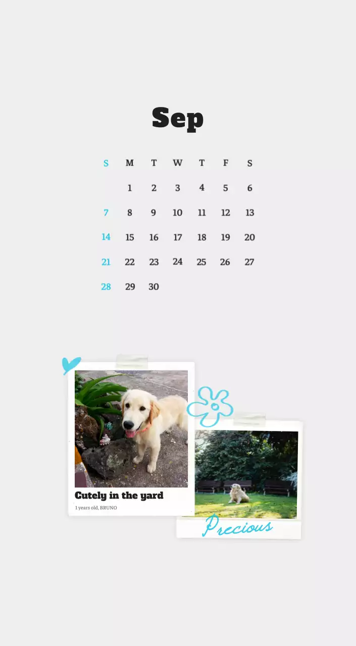 White neat pet photo calendar