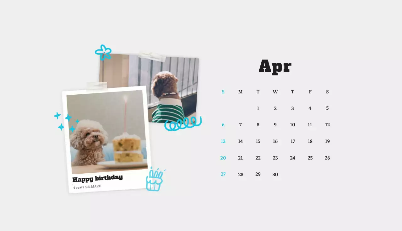 Kalender Foto Binatang Balet Putih Rapi
