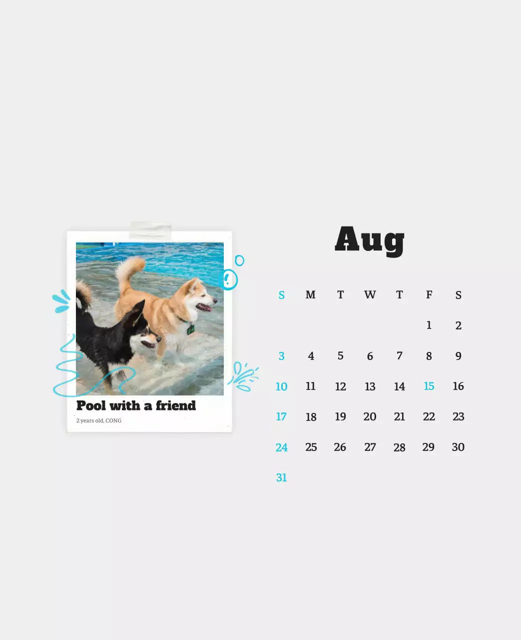 Kalender Foto Binatang Balet Putih Rapi