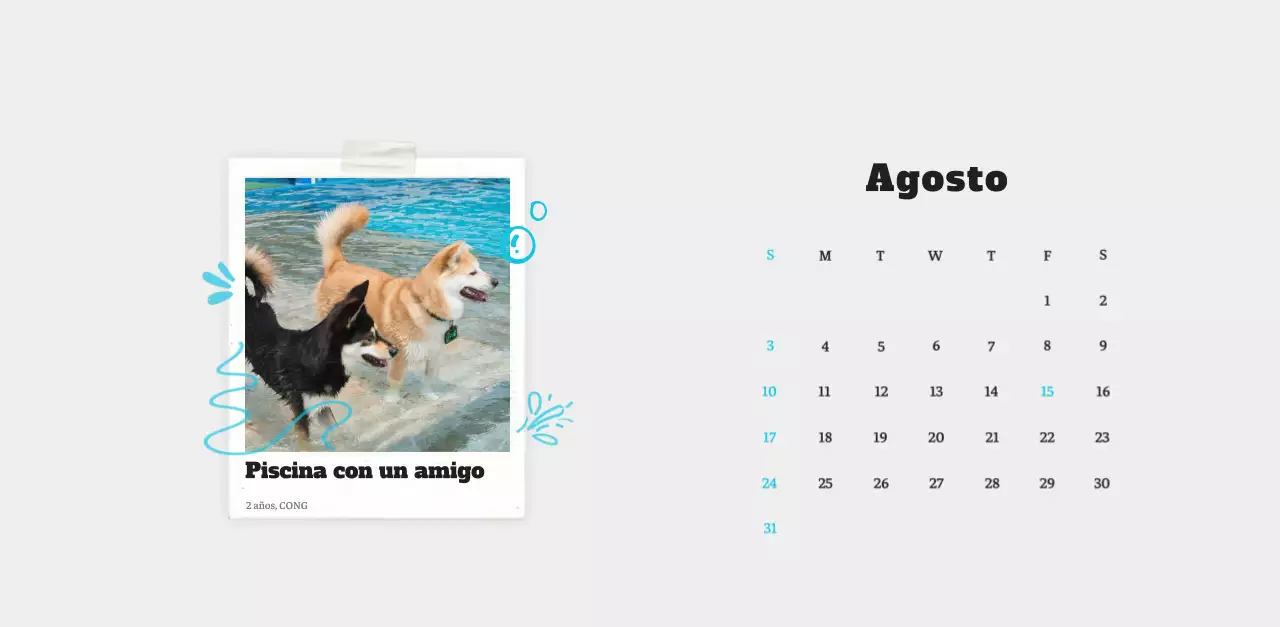 Ballet Blanco Neat Animal Foto Calendario