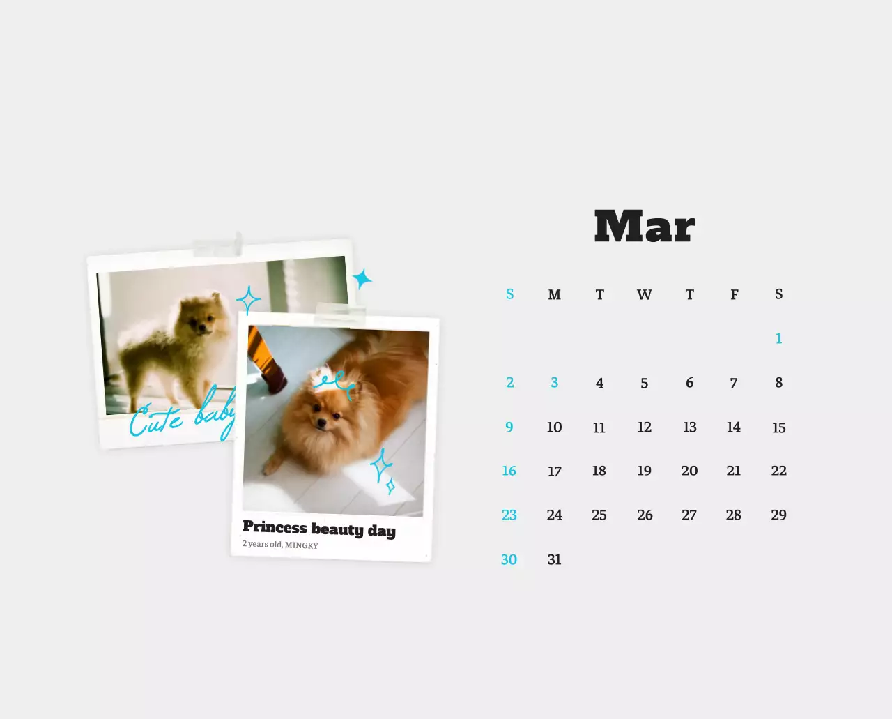 Kalender Foto Binatang Balet Putih Rapi
