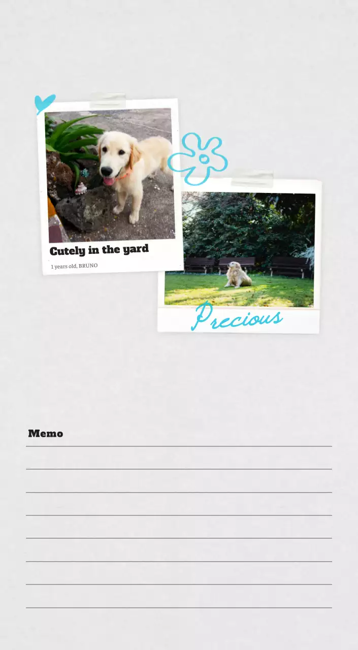 White neat pet photo calendar