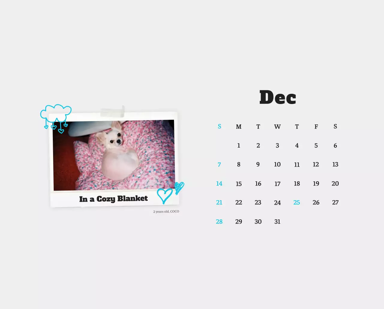Kalender Foto Binatang Balet Putih Rapi