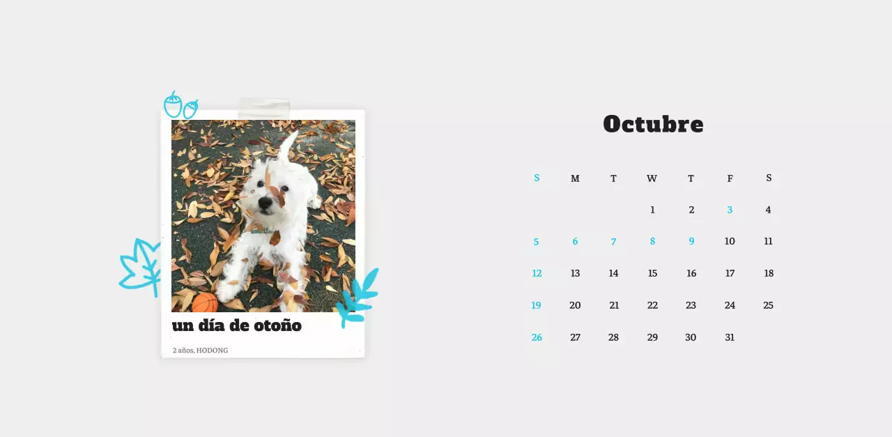 Ballet Blanco Neat Animal Foto Calendario