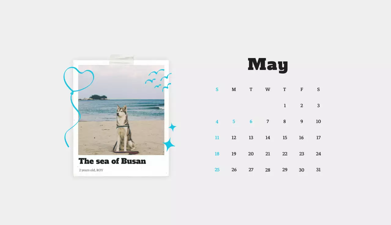 Kalender Foto Binatang Balet Putih Rapi