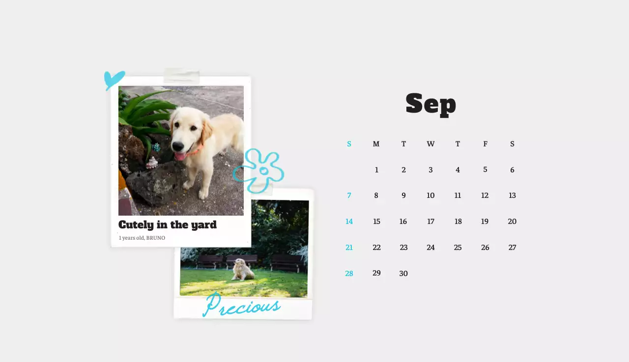 Kalender Foto Binatang Balet Putih Rapi