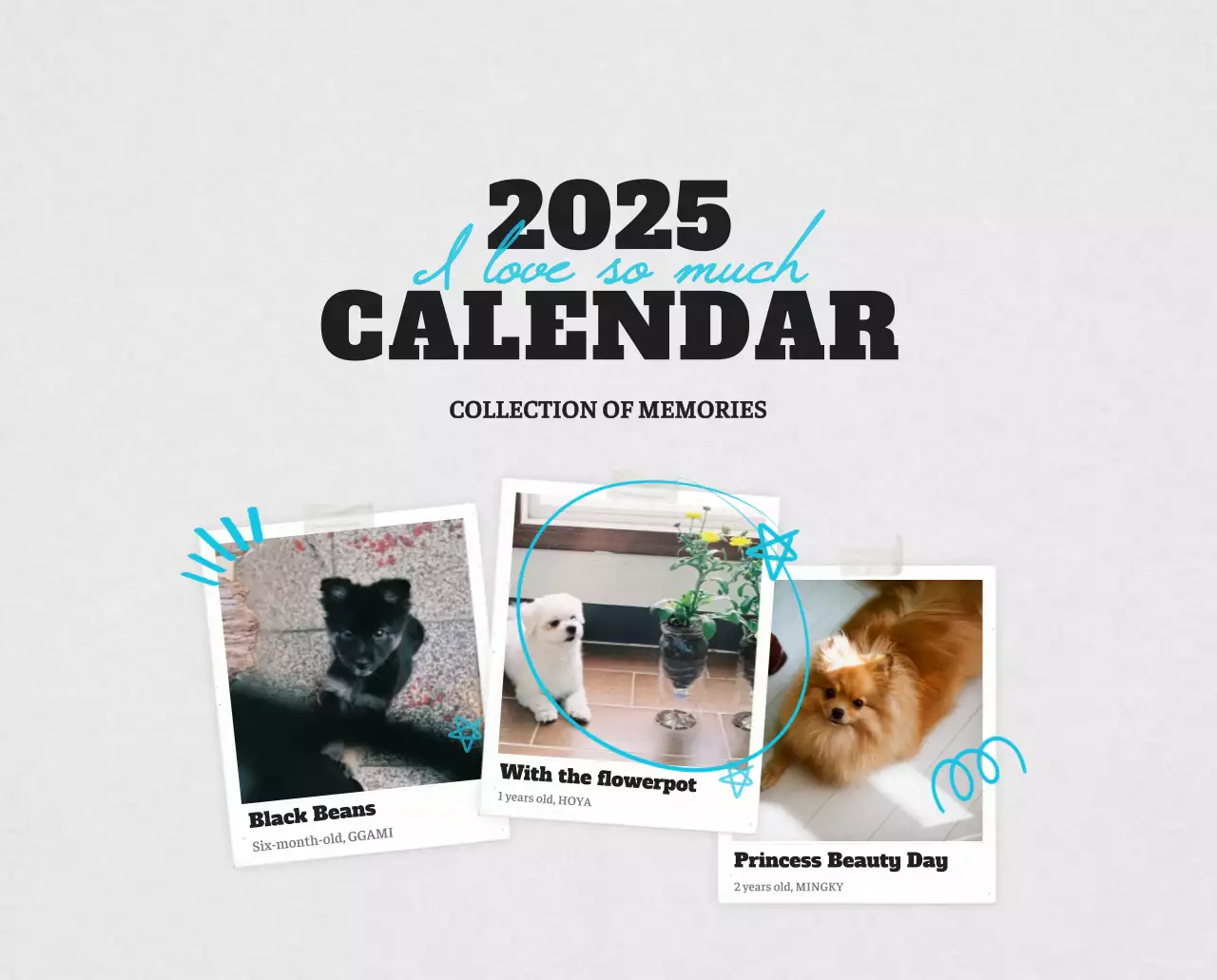 Kalender Foto Binatang Balet Putih Rapi