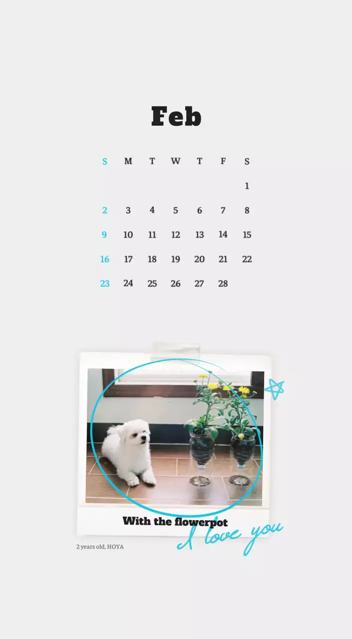 White neat pet photo calendar
