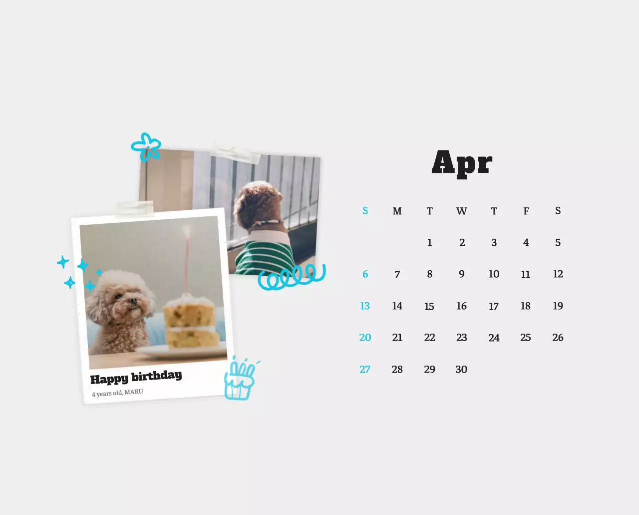 Kalender Foto Binatang Balet Putih Rapi