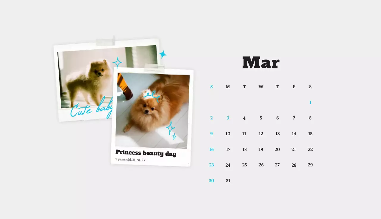 Kalender Foto Binatang Balet Putih Rapi