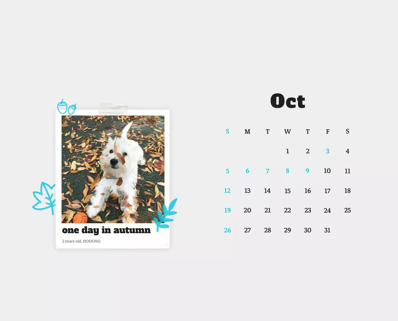 Kalender Foto Binatang Balet Putih Rapi