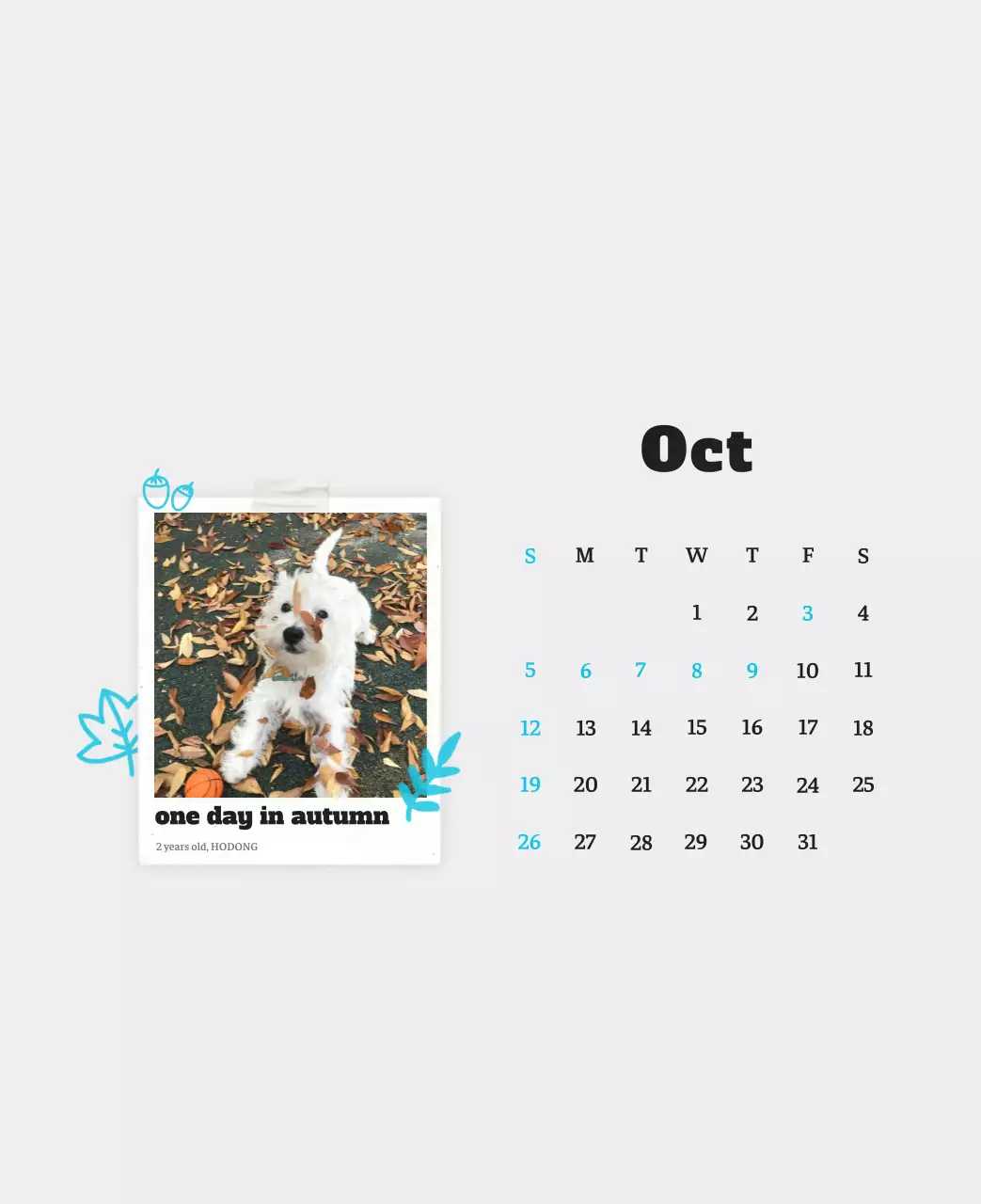 Kalender Foto Binatang Balet Putih Rapi