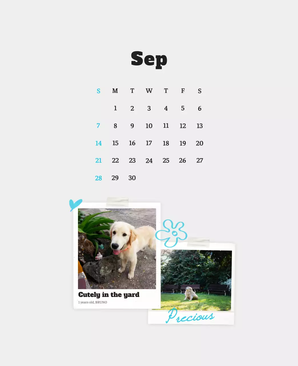 Kalender Foto Binatang Balet Putih Rapi