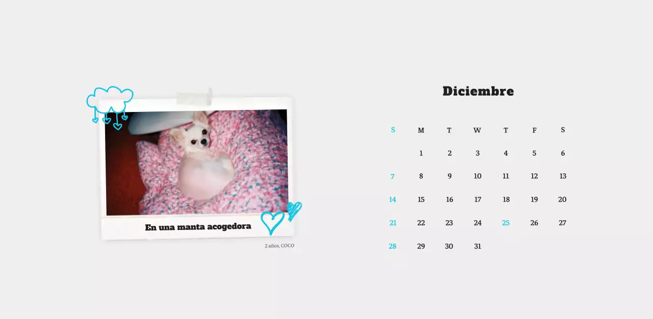 Ballet Blanco Neat Animal Foto Calendario