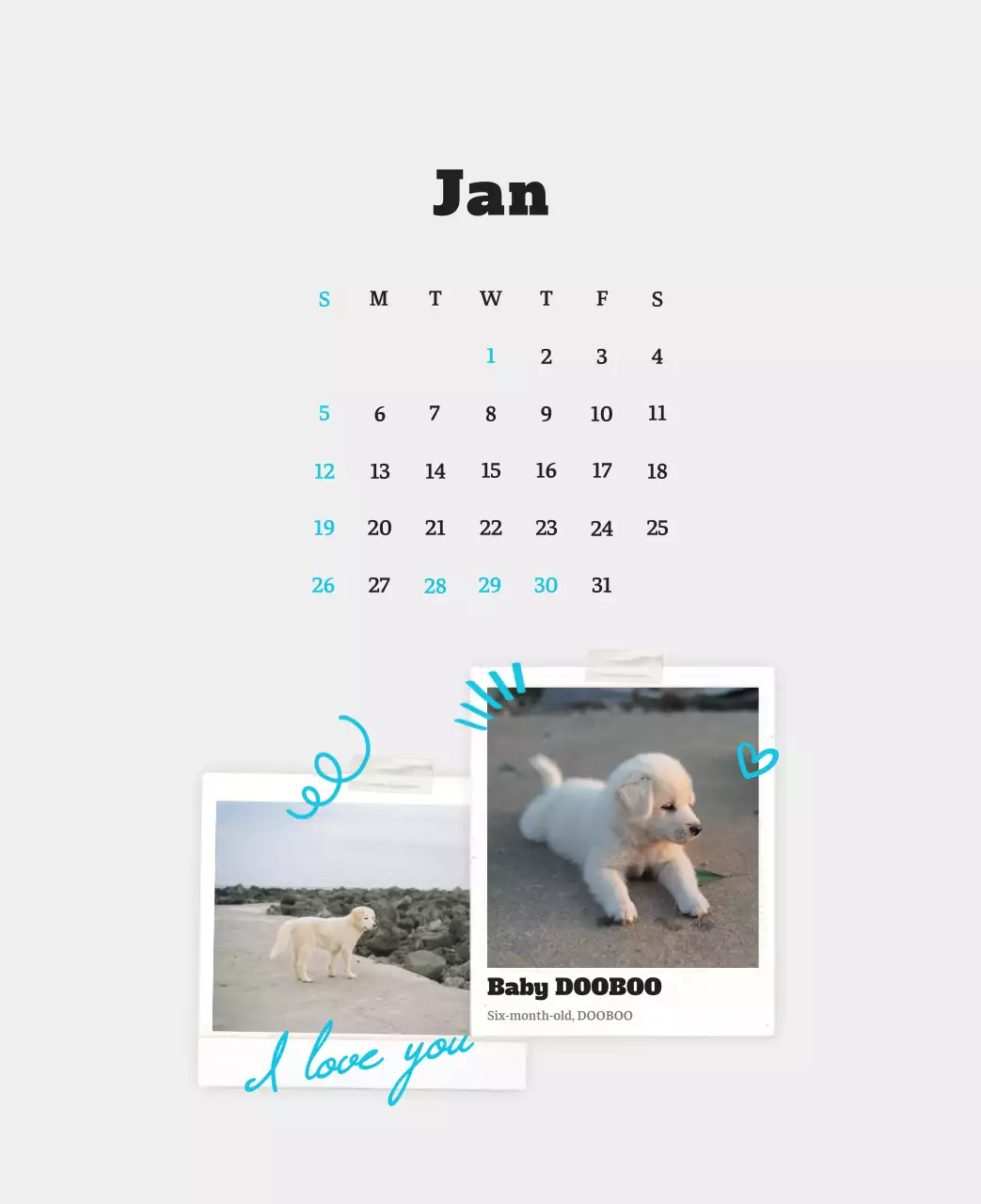 Kalender Foto Binatang Balet Putih Rapi