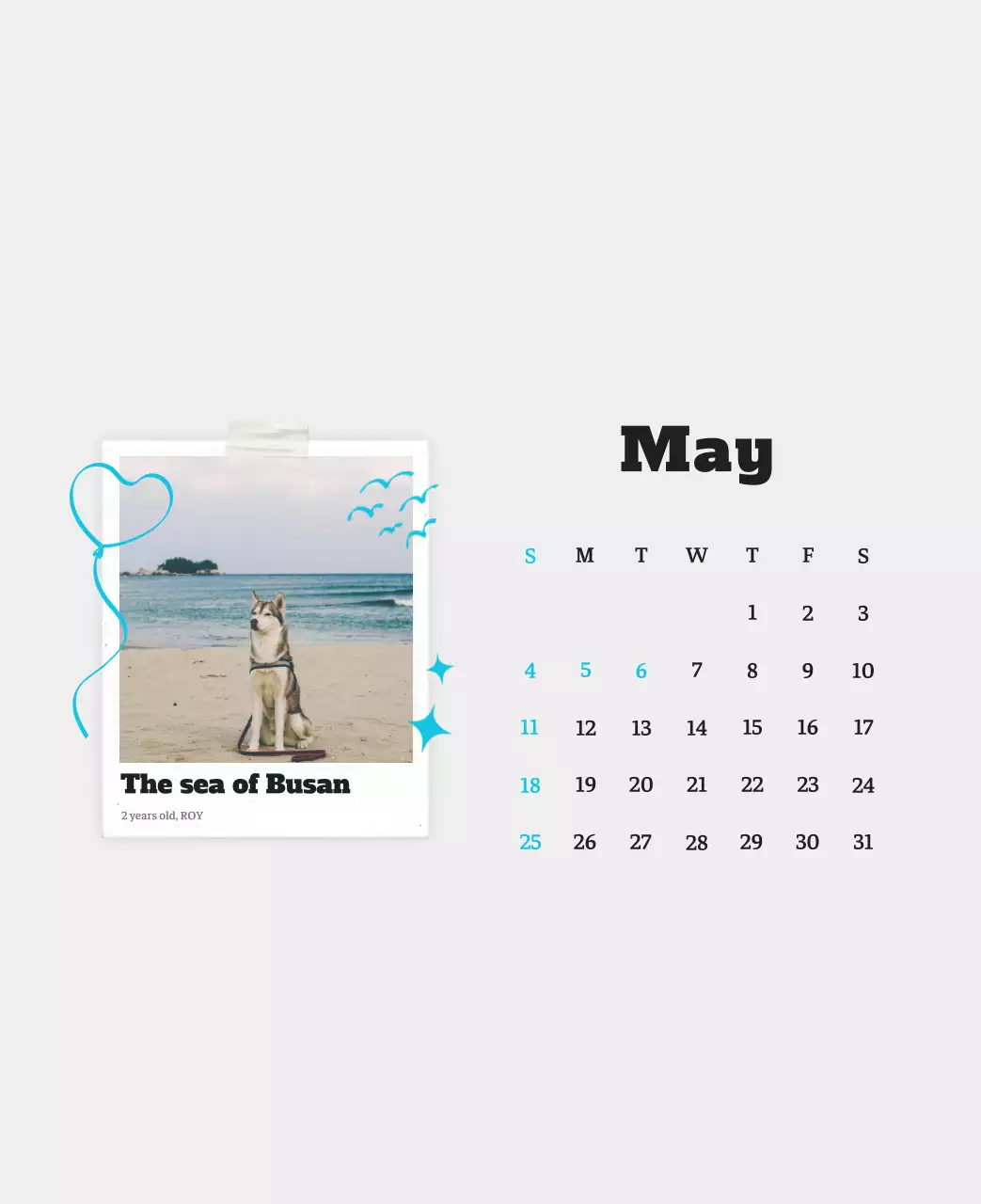 Kalender Foto Binatang Balet Putih Rapi