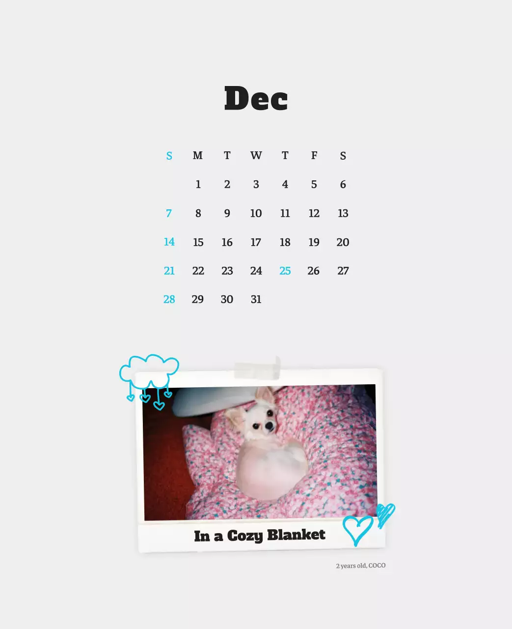 Kalender Foto Binatang Balet Putih Rapi
