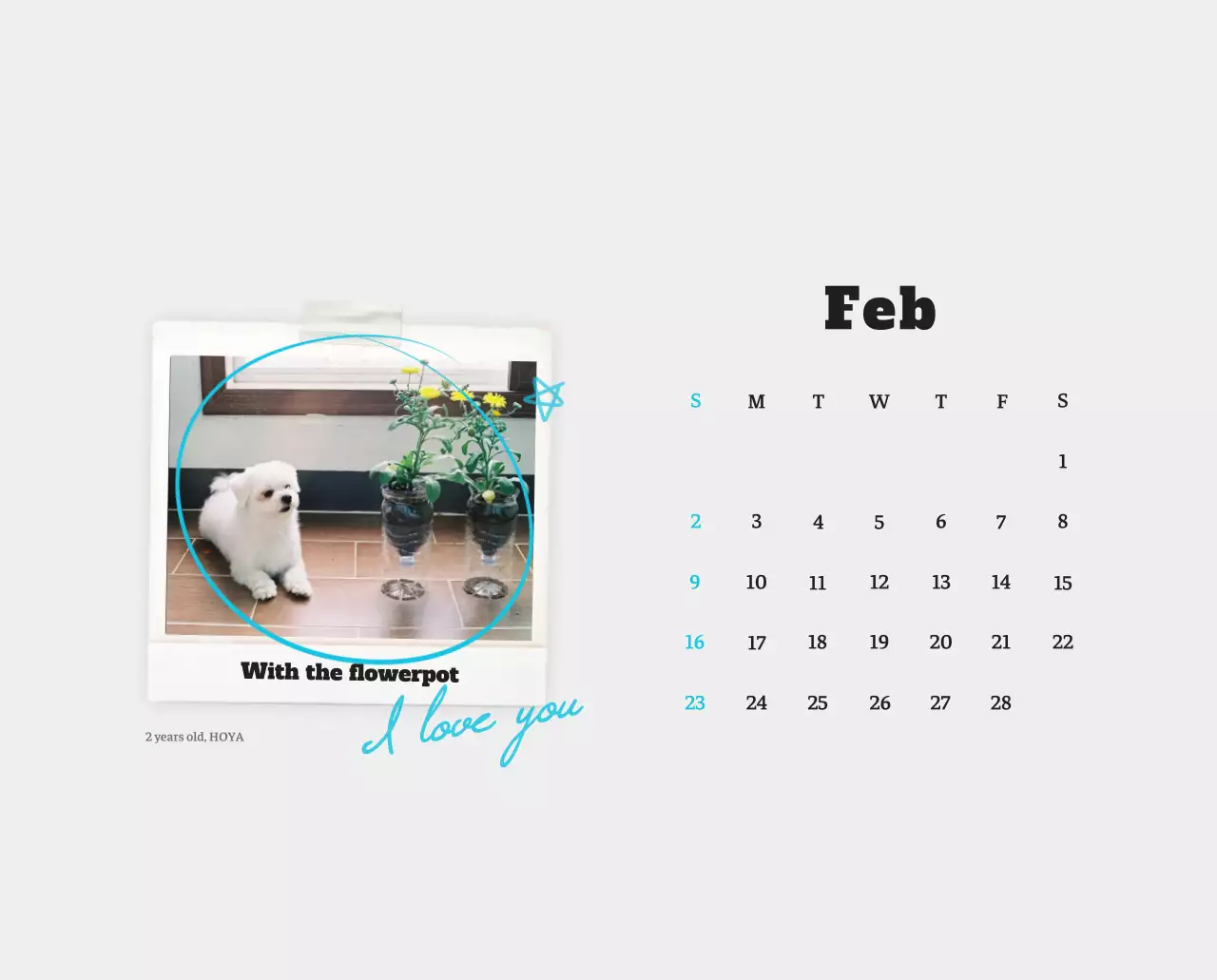 Kalender Foto Binatang Balet Putih Rapi