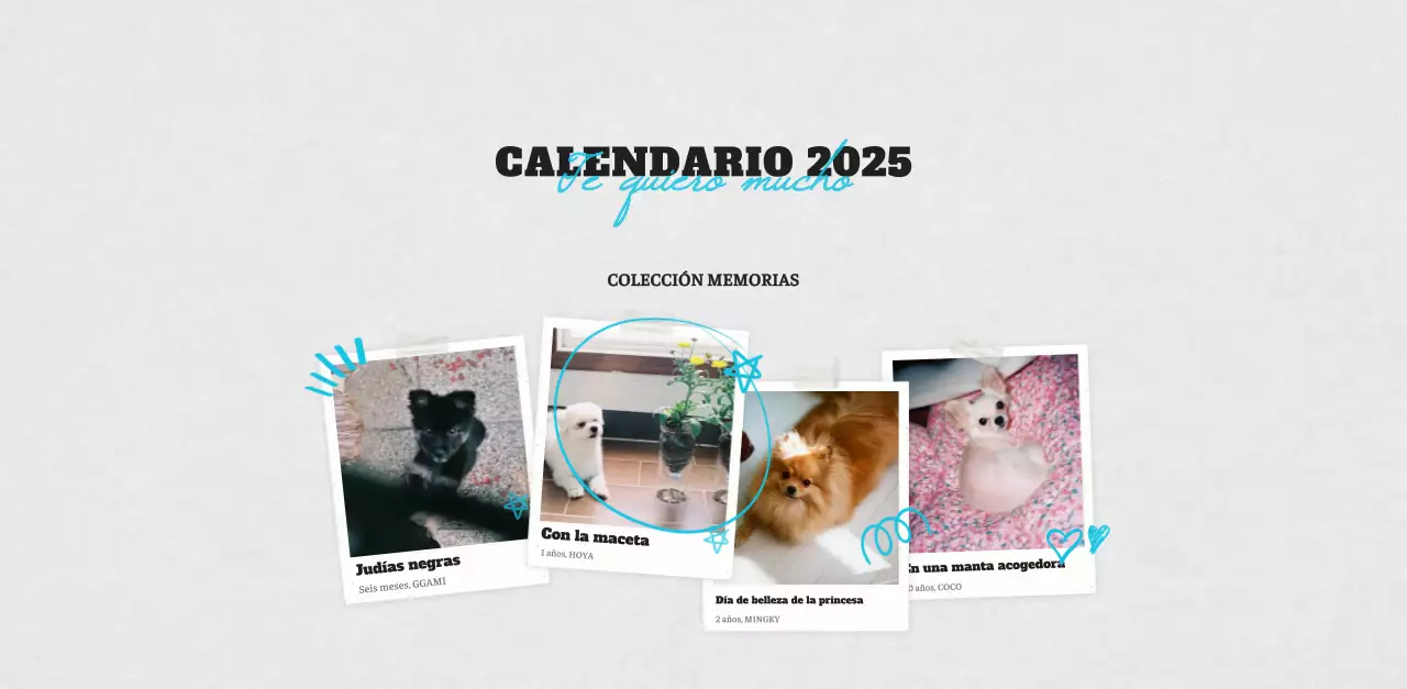 Ballet Blanco Neat Animal Foto Calendario