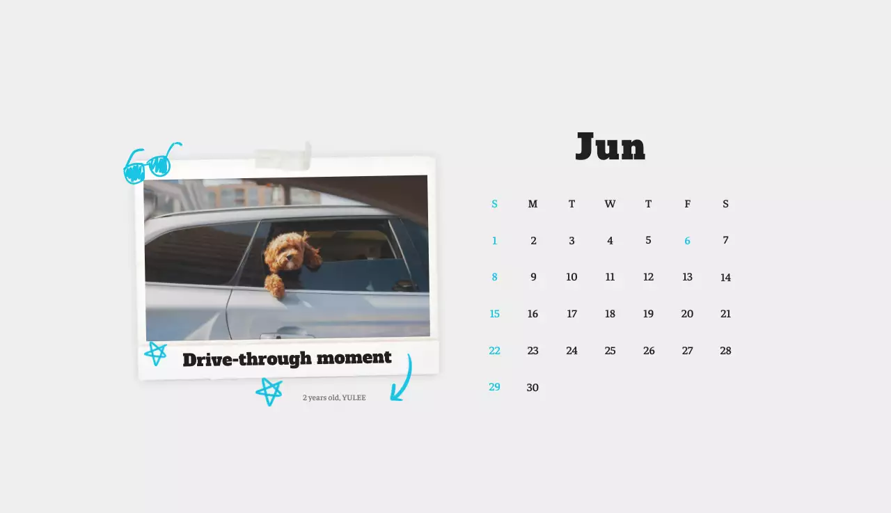 Kalender Foto Binatang Balet Putih Rapi