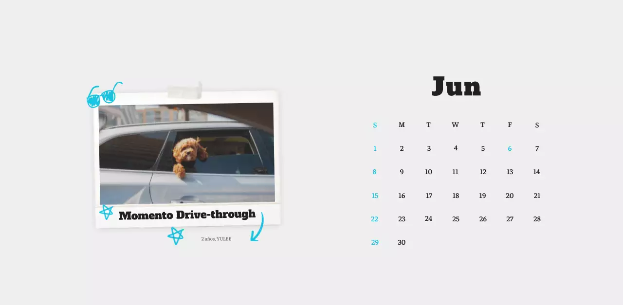 Ballet Blanco Neat Animal Foto Calendario