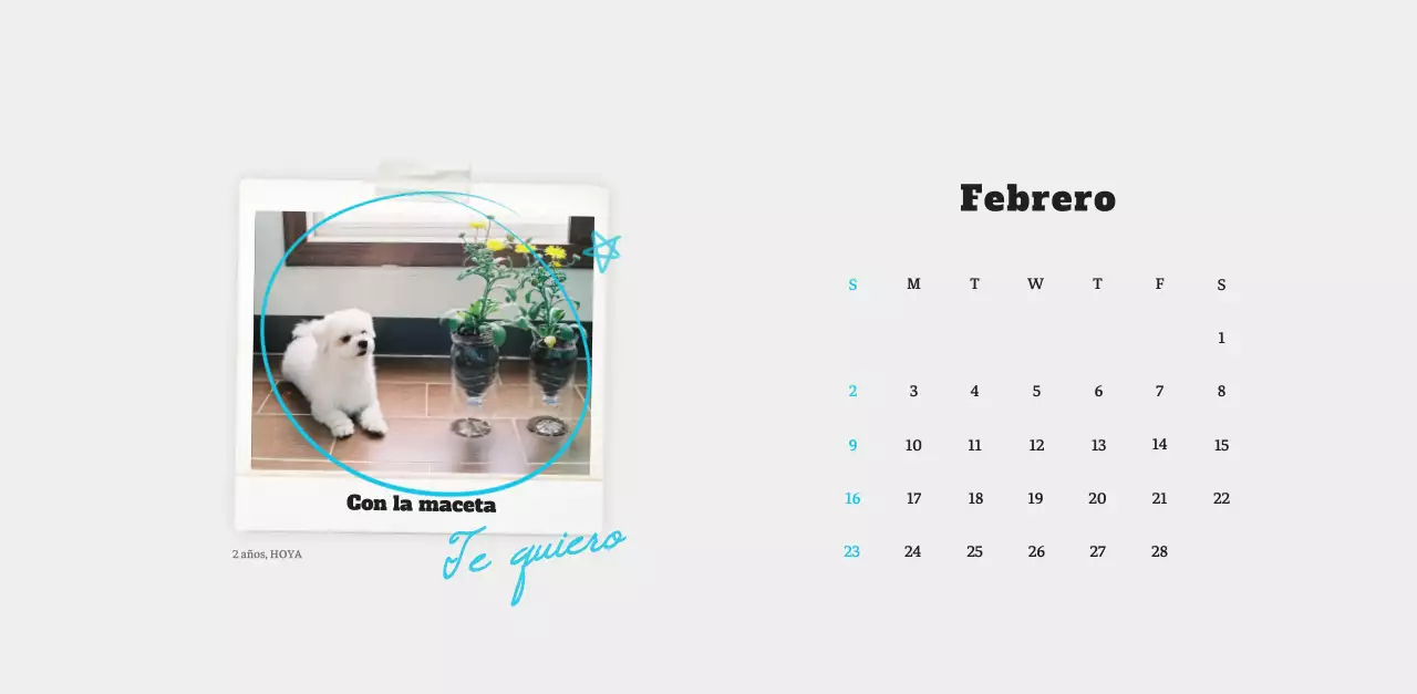 Ballet Blanco Neat Animal Foto Calendario