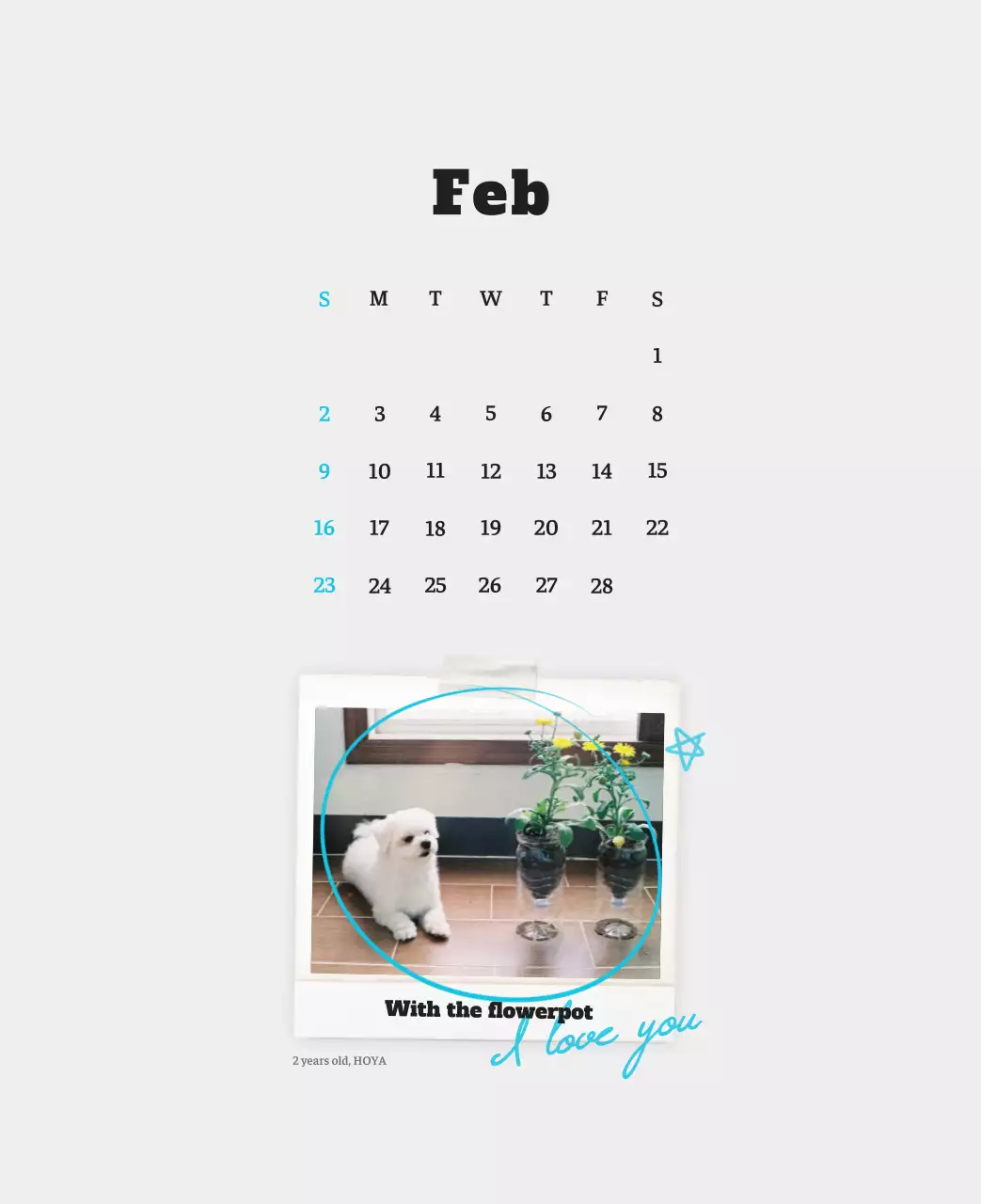 Kalender Foto Binatang Balet Putih Rapi