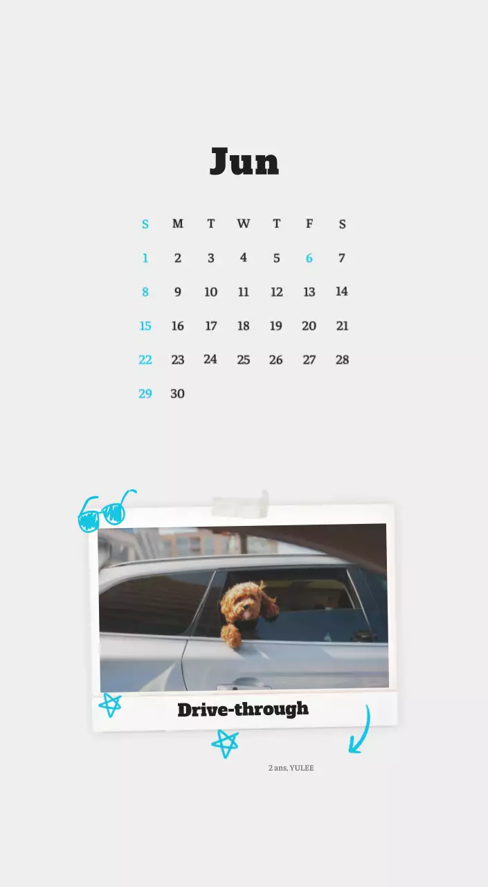 Calendrier photo blanc Neat Ballet Animal