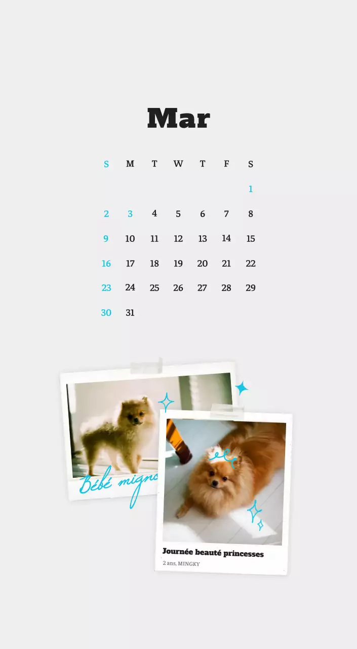 Calendrier photo blanc Neat Ballet Animal
