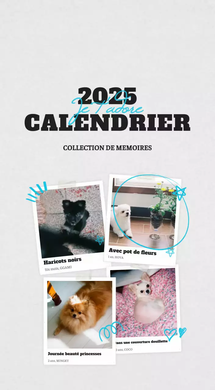Calendrier photo blanc Neat Ballet Animal