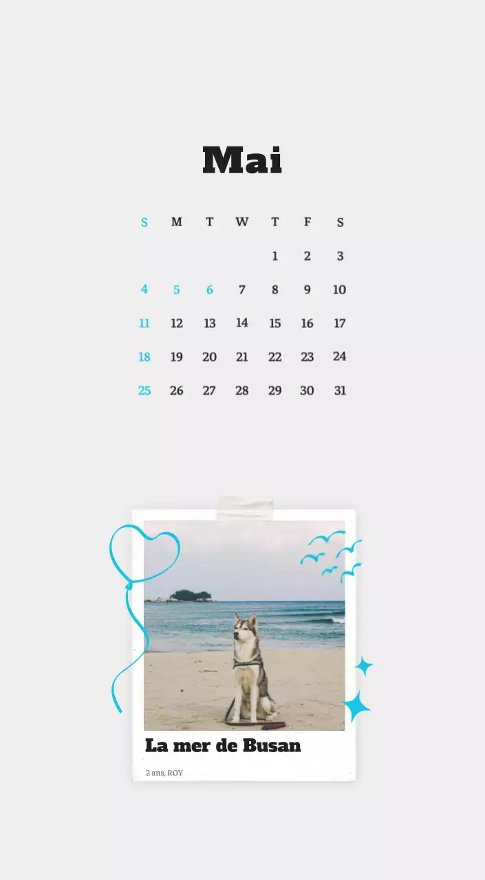Calendrier photo blanc Neat Ballet Animal