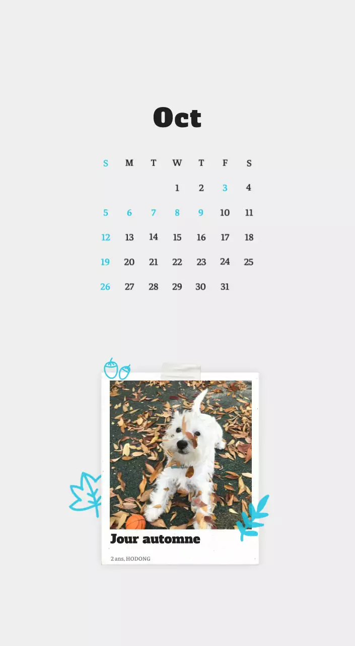 Calendrier photo blanc Neat Ballet Animal