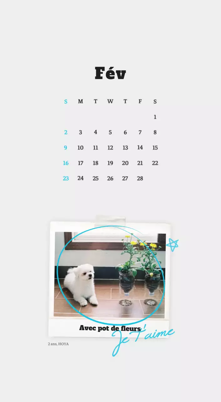 Calendrier photo blanc Neat Ballet Animal