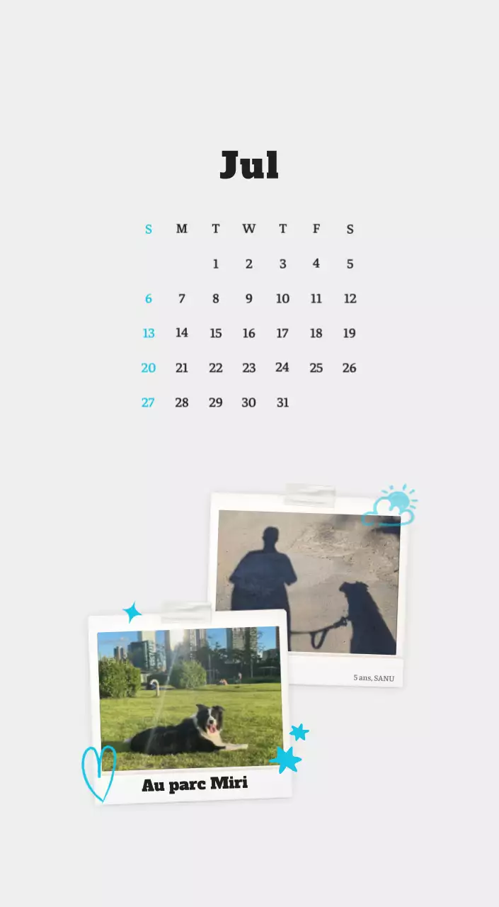 Calendrier photo blanc Neat Ballet Animal