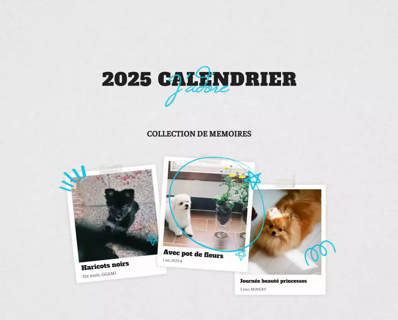 Calendrier photo blanc Neat Ballet Animal